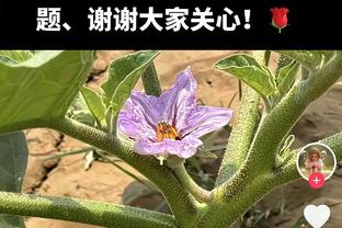 手热且全面！英格拉姆三分11中7砍28分10板10助 生涯第三次三双